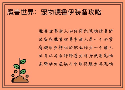 魔兽世界：宠物德鲁伊装备攻略